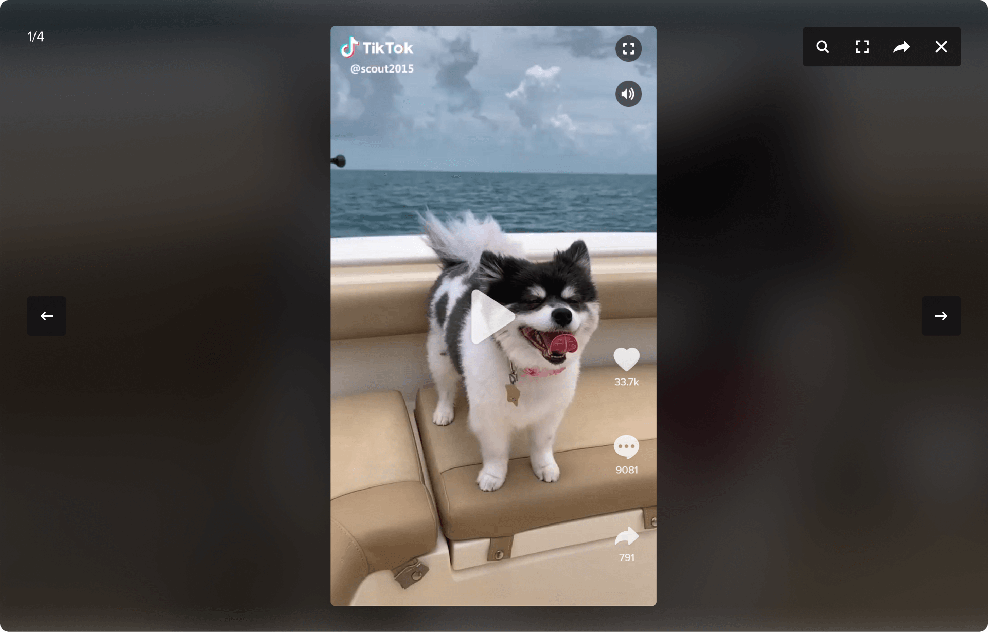 Enhanced popup gallery video embed, deep linking and posts iframes