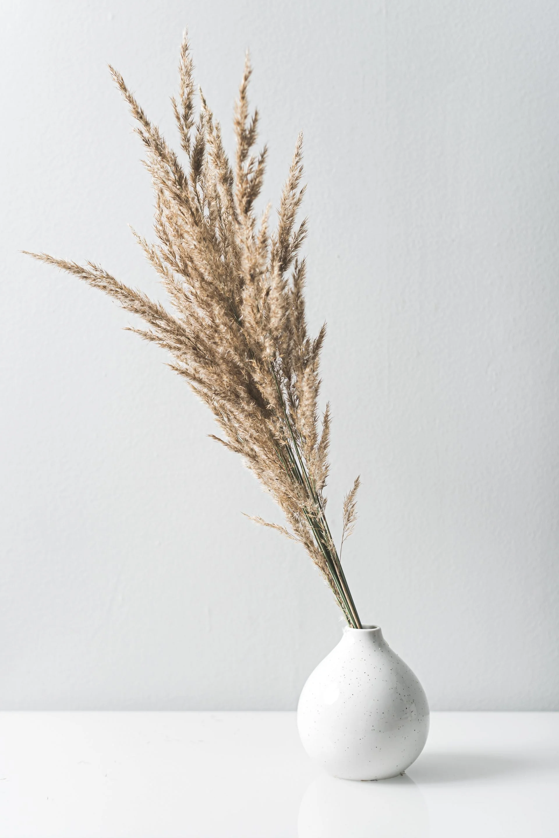 oscar-helgstrand-6ojCyWPrzCk-unsplash