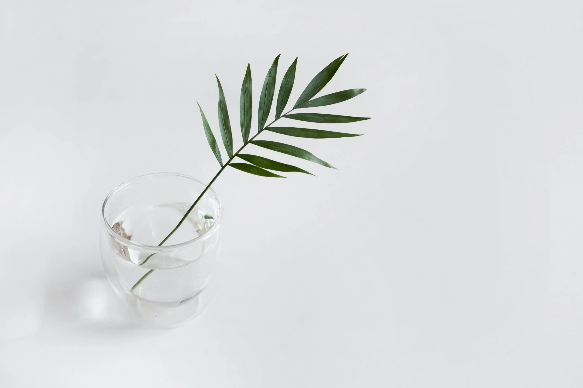 sarah-dorweiler-2s9aHF4eCjI-unsplash